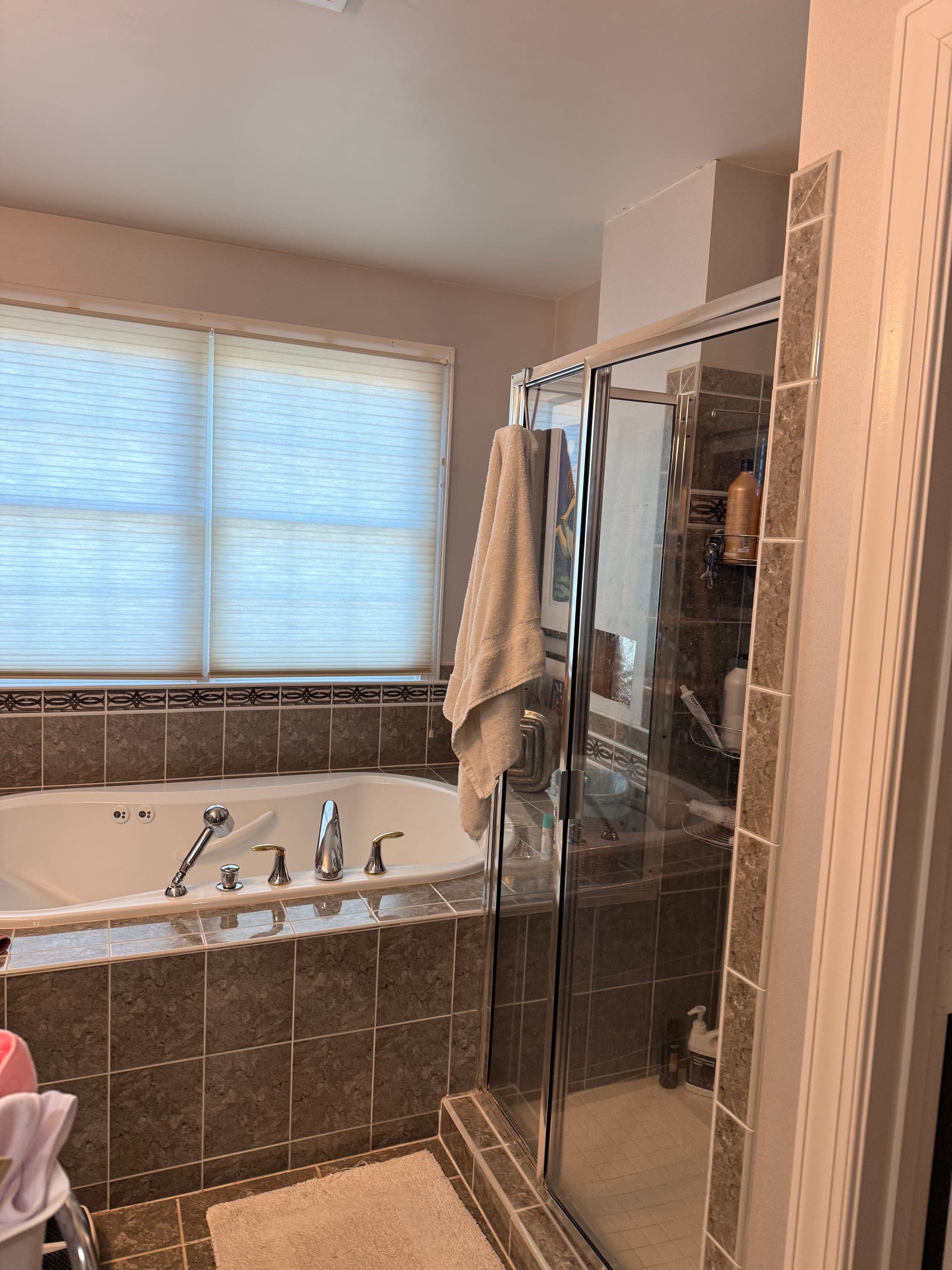 Master Bath, Jacuzzi-to-Freestanding-Tub, Northern Virginia — before